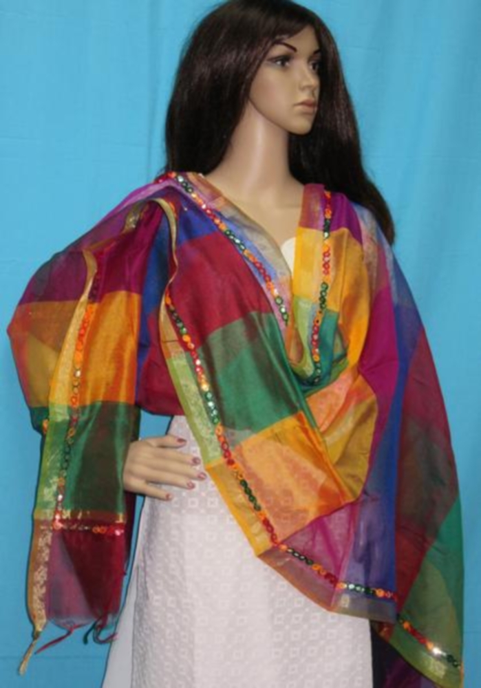 Colorful Rainbow Organza Dupatta Chunni Scarf for Women #29875 ...